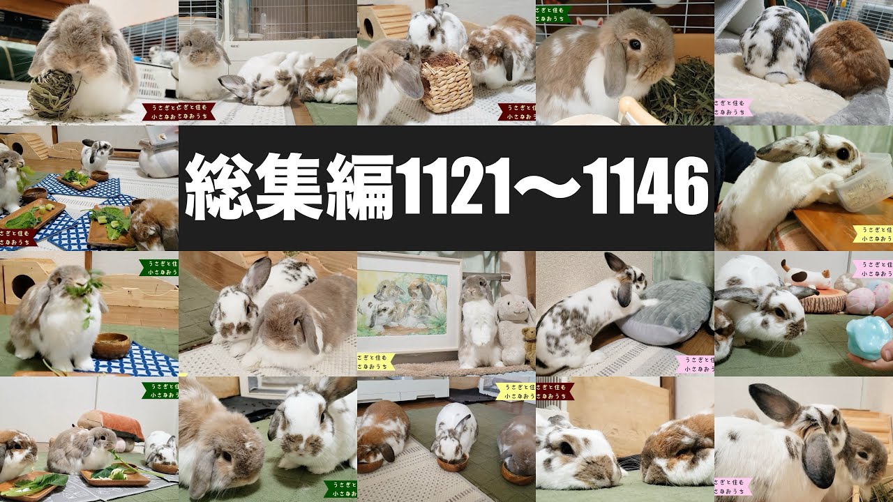 総集編40】1121~1146良い子にしてたから… - YouTube