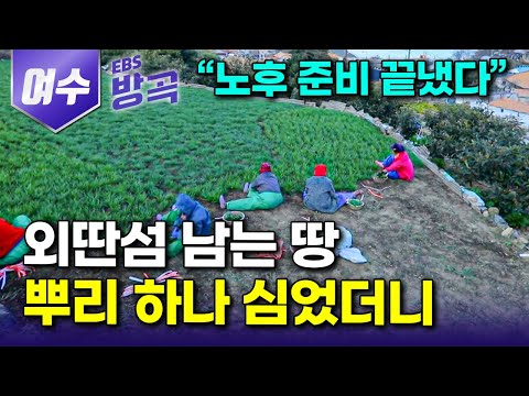 [전남 여수] "2배 더 비싼 놈을 자꾸 사 간다" 부지런히 움직이면 정직하게 내어주는 섬에 기대어 풍복하게 살아가는 외딴섬 할머니들의 봄맞이｜부추｜#한국기행 #방방곡곡