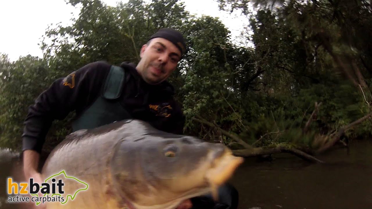 HZ Bait Active Carpbaits Solid-Fish (Produktvorstellung) 