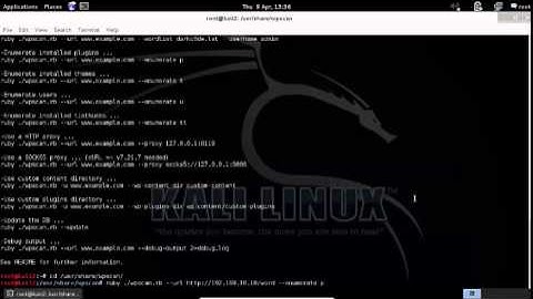 Using WpScan on a Wordpress 4.0 site