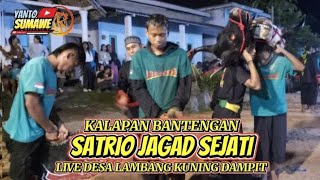Kalapan BANTENGAN SATRIO JAGAT SEJATI 🔴 DESA LAMBANG KUNING DAMPIT #sjs