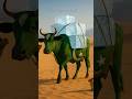 The Cow Safe the Life Of All Animals 👏🥰 #love #sehar #biel #shorts  #animals