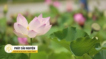 Phút Cầu Nguyện, Thứ Hai 06/04/2020: Khẩn Cầu Thánh Vinh Sơn