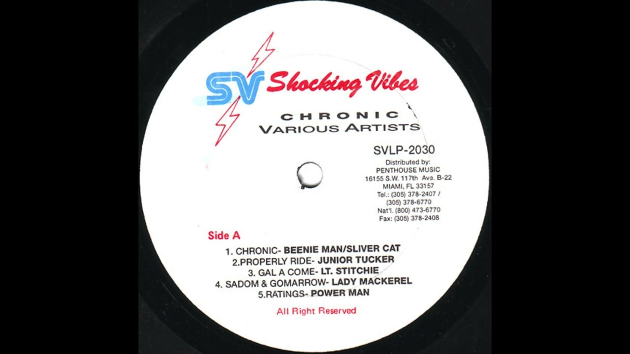 Lieutenant Stitchie - All Lover Gal (Freedom Blues Riddim) [HD