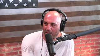 Dr. Steve Gets A Plug And Gets Invited To Jre Live On The Podcast 11117