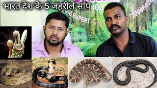 ऐसी जानकारी आपको कोई नहीं देगा | 5 most venomous snake in india full information