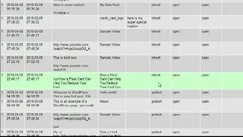 Guide to Money - Wordpress Maintenance Part 5 - Database Cleaning