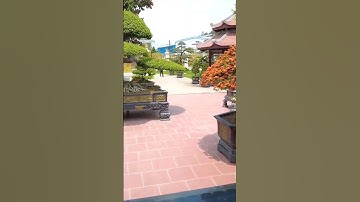 Bán biệt thự 1.200m2 Củ chi ( p3 ) #homstay #biệt thự