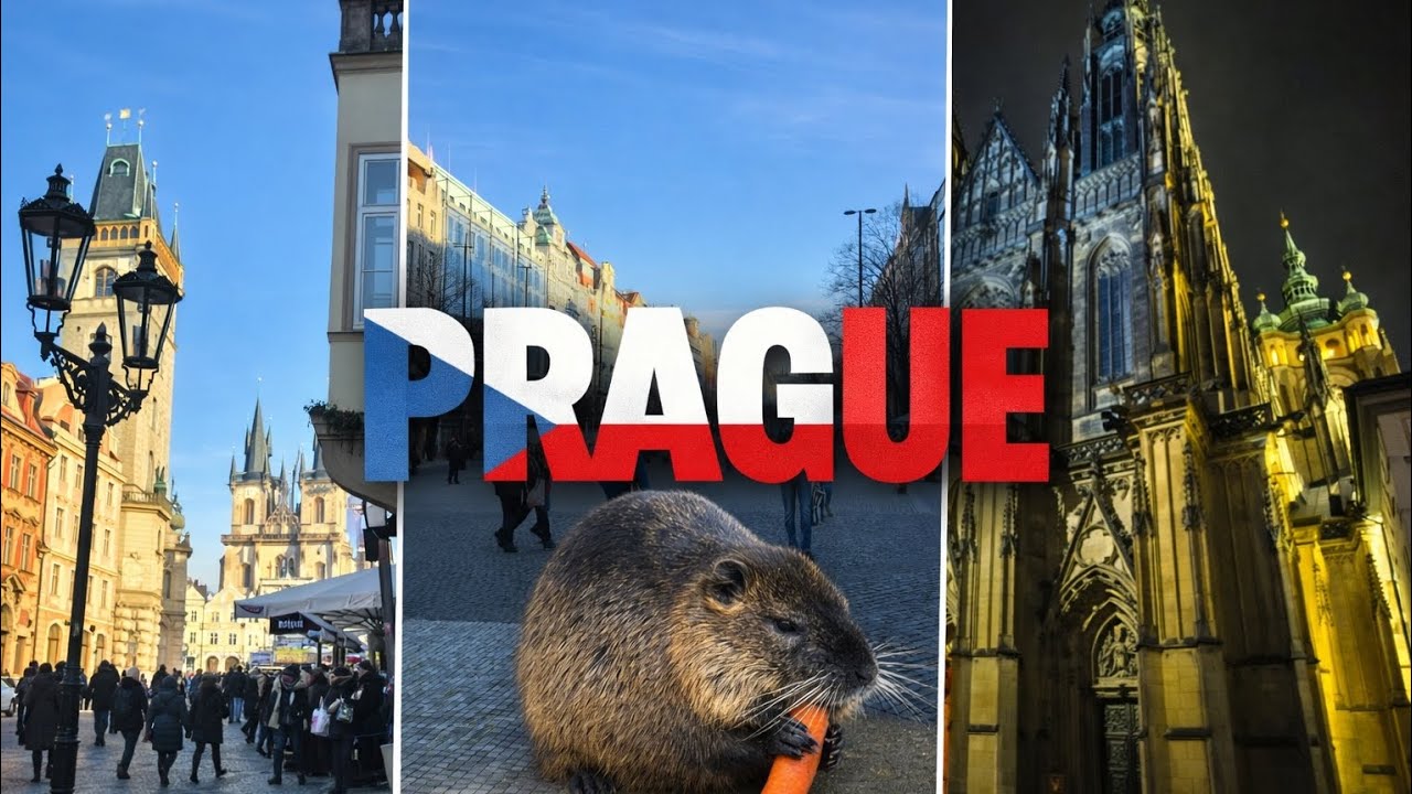 Поездка в Прагу. Чехия — это любовь с первого «Ahoj!»