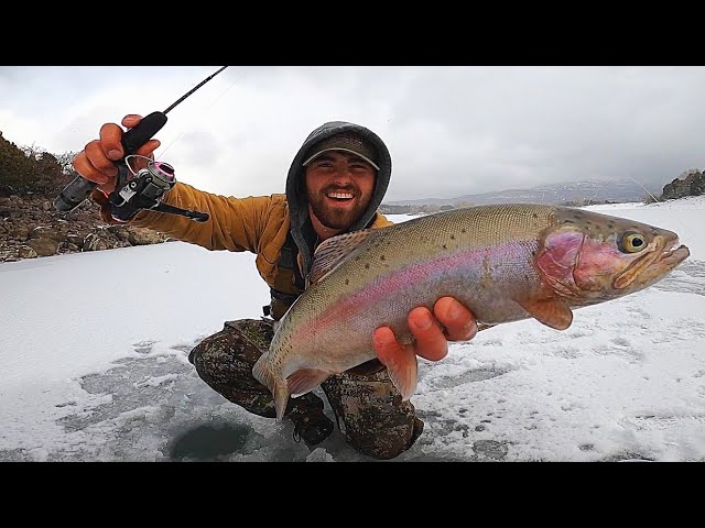 Big Trout Pulls My Rod In!! Ice Fishing Catch & Cook!! 