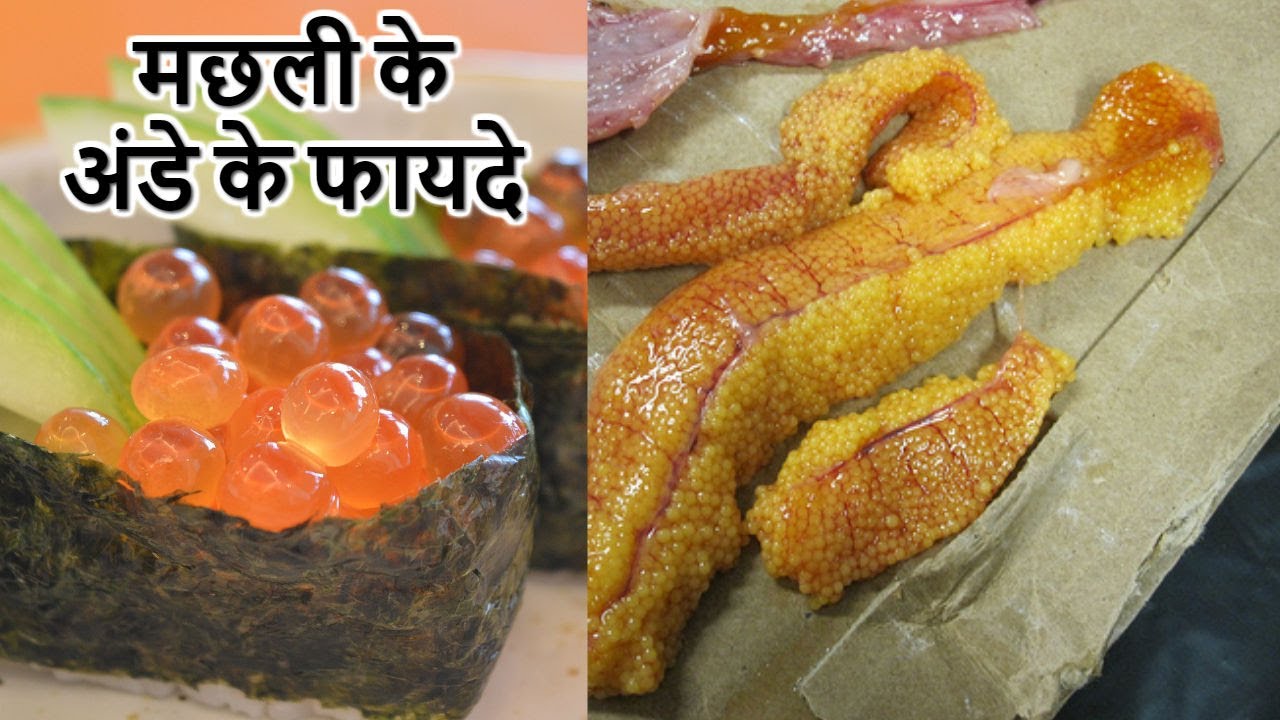 Fish Egg Eating Benefits मछली का अंडा खाने के फायदे Advantages of