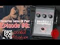 Forgotten Gems Of The Past Episode #8:  Pro Co RAT Roadkill Distortion Pedal