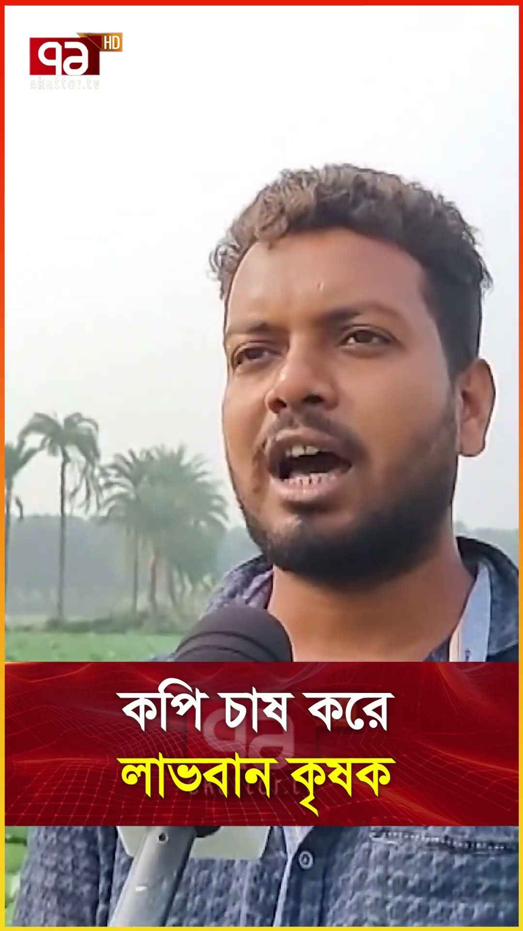 কপি চাষ করে লাভবান কৃষক