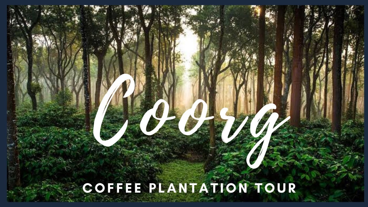 coorg coffee tour