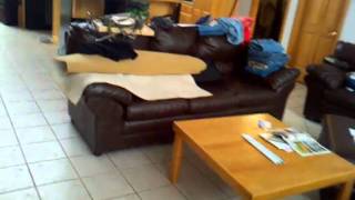 Not So Little Suukii