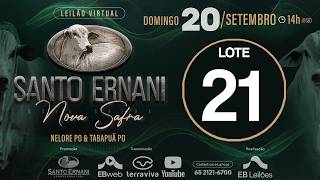 21 - LEILÃO VIRTUAL SANTO ERNANI NOVA SAFRA - 20/09/2026