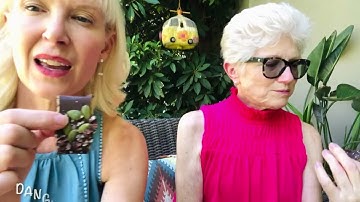 dangle & dot: Not Everything is Warm and Fuzzy in Dementia