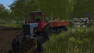 [РП] Привёз дров бабушке на зиму! Farming Simulator 17