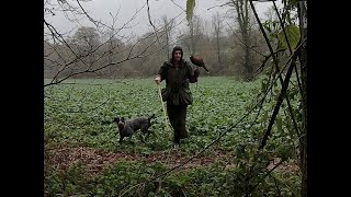 HARRIS HAWK WOODY A VERSATILE HUNTER
