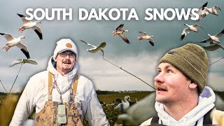 SNOW GOOSE HUNT 2024 in South Dakota