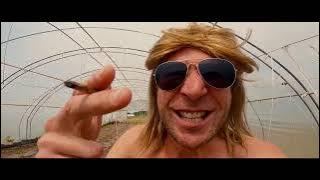 AJS NIGRUTIN - NIGRUTINSKI STAJLO