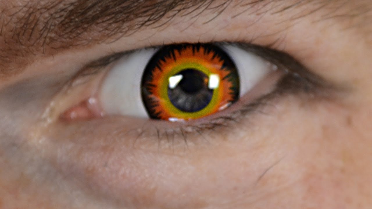 "Orange Werewolf" contacts by YouTube