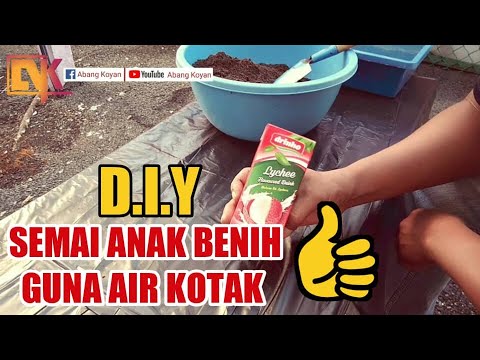 Video: Bekas Anak Benih DIY. Bahagian 1