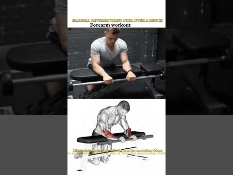 BARBELL REVERSE WRIST CURL OVER A BENCH #shorts #youtubeshorts