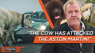 Animals Causing Trouble for Clarkson, Hammond and May | The Grand Tour
