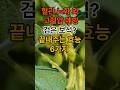 혈관노화와 고혈압예방 특효 검은콩! #건강#혈관#고혈압#건강관리#건강꿀팁