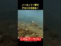 新ルアーのテスト中にノーカット一撃でデカバスを釣る！ #バス釣り #fishing #釣り