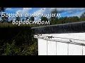 Борьба с пчелиным воровством