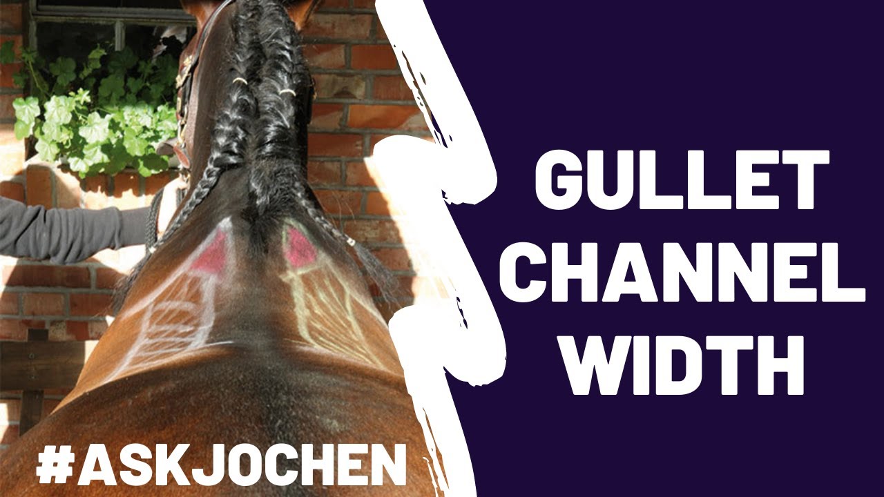 Gullet Channel Width | #ASKJochen | Livestream Q&A Excerpt - YouTube