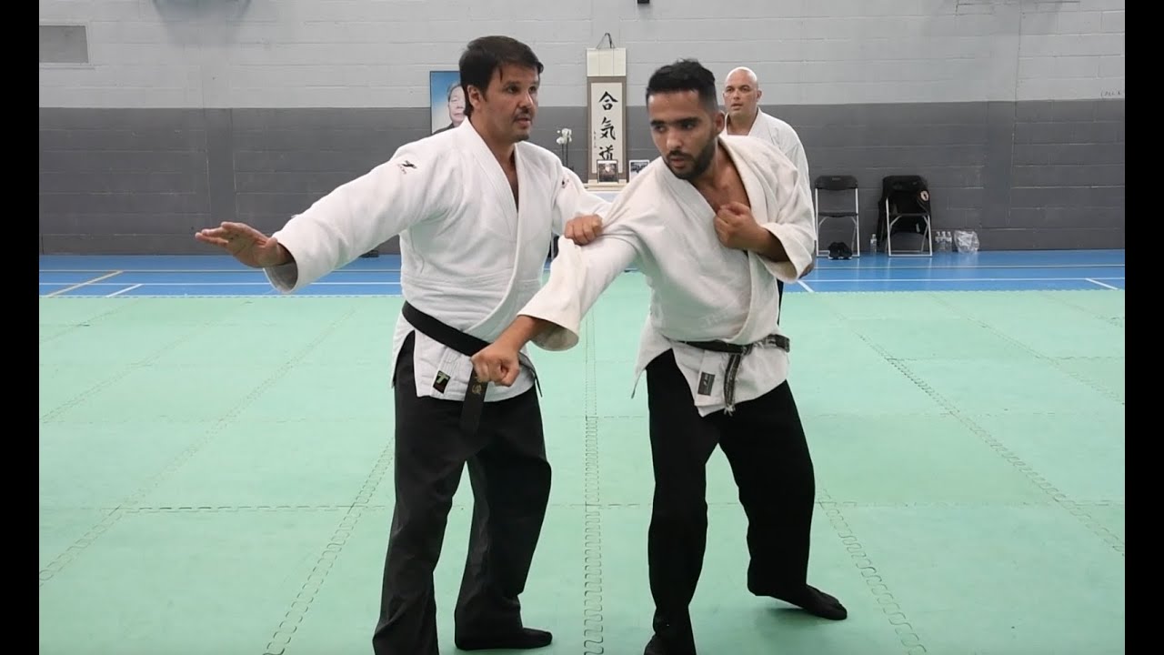 International Aikido Seminar day 2 - Wembley Park August 22 with Said Sebbagh Sensei