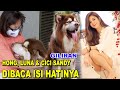 NGEBACA ISI HATI CICI SANDY, LUNA & HONG - ANIMAL COMMUNICATOR