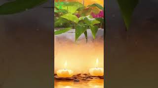 In The Midst Of Your Busy Schedule, Find Solace In The Melodies That Heal