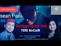Tere bagair sean paul temperature mix by shaif ali sheikh dj remix