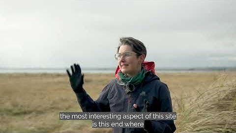 The Raven: Meet the People Working on Nature Restoration at This Important Location