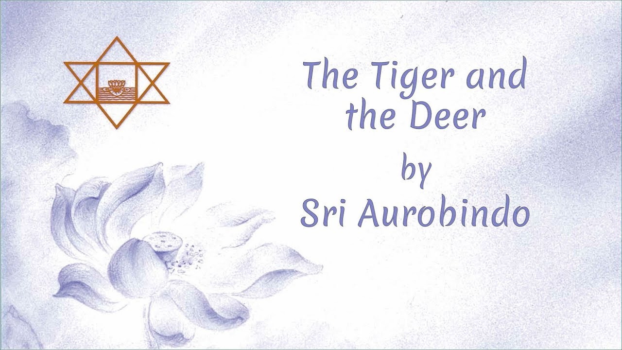 THE TIGER AND THE DEER A Poem By Sri Aurobindo YouTube the-tiger-and-the-deer-a-poem-by-sri-aurobindo-youtube