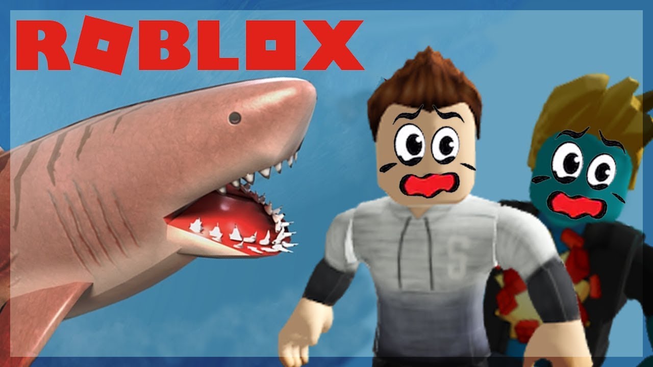 Le Megalodon Est Le Meilleur Requin Roblox Sharkbite Youtube - le meilleur requin du monde roblox