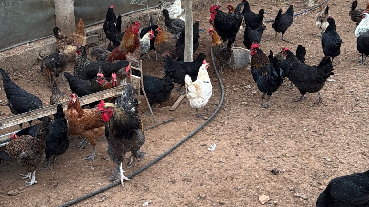 ايه 2ملاين فالشهر وأكثر 