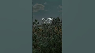 لن تتمالك دموعك 💔 | تلاوة خاشعة – وعسى أن تكرهوا شيئا وهو خير لكم