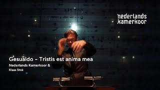 Gesualdo - Tristis Est Anima Mea Nederlands Kamerkoor - Time Stands Still