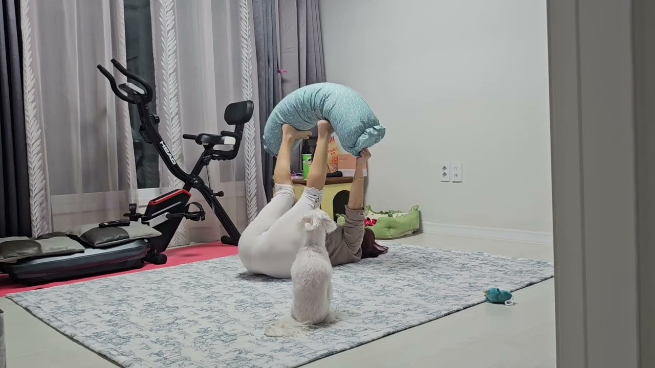 아줌마 맘데로안되네