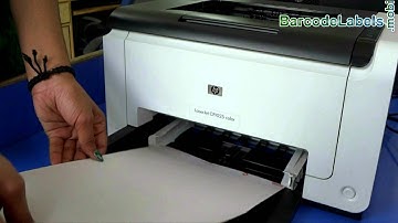 Steps to Adjust Margin in Print Settings