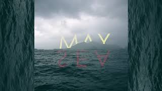 The Languid Current - Lifesaver