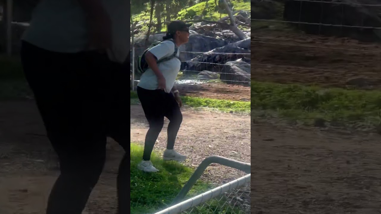 Winter Hiking at Bells Rapids | Stunning Scenery & Waterfalls