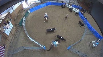 Big Sky Ranch Sorting Saddle Series #4 - #8 HC RANCH HAND (2 CAP SORTER) - Round #2 - Ride #27
