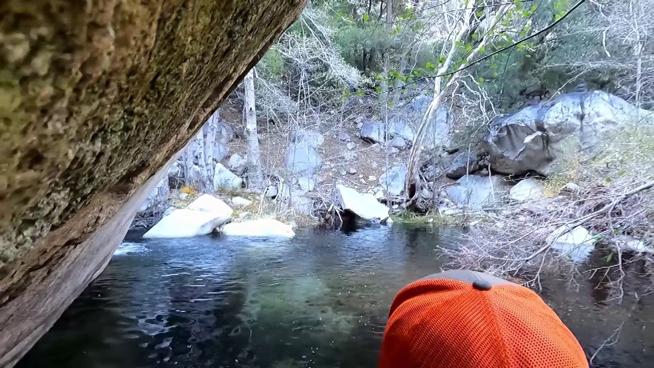 Bear Creek Hike 12 06 20 YouTube