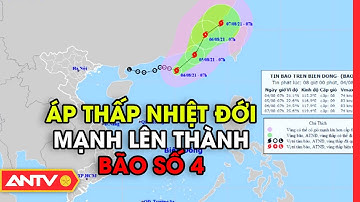 NÓNG: Áp thấp nhiệt đới mạnh lên thành bão số 4 trên Biển Đông | Tin tức 24h | ANTV